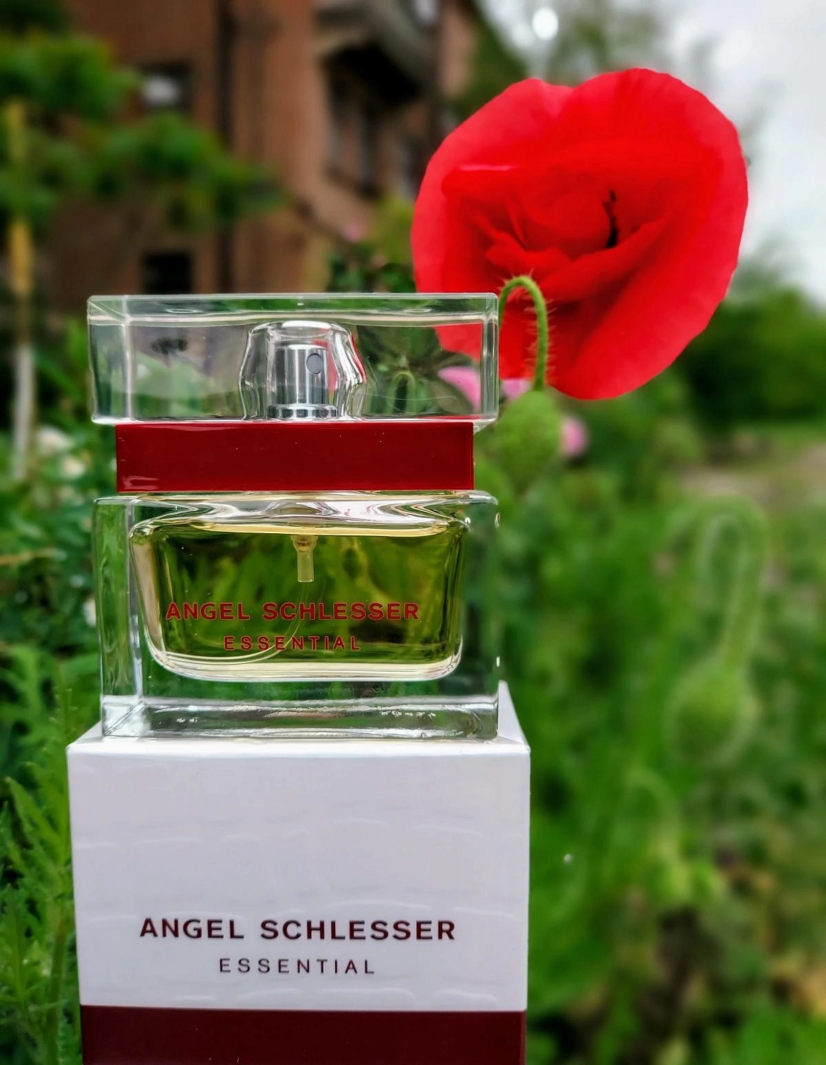 Angel Schlesser Essential Angel Schlesser Essential