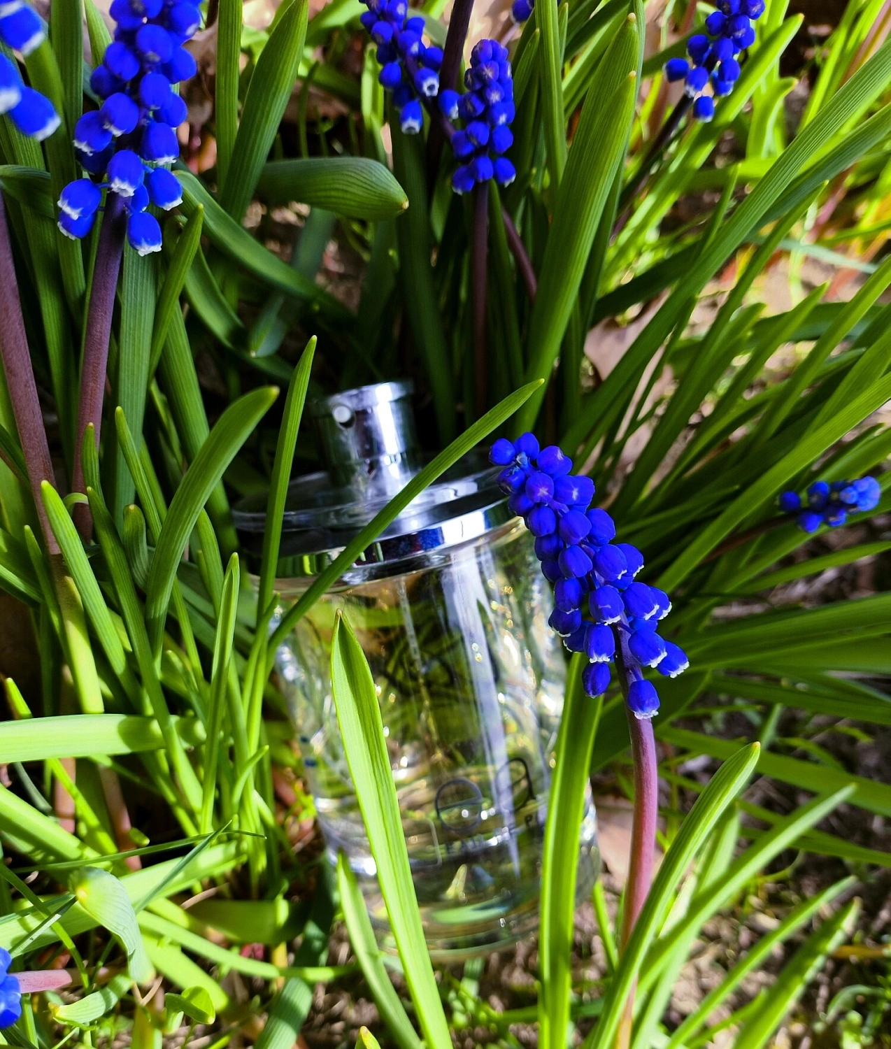 Eau de Cartier 2016