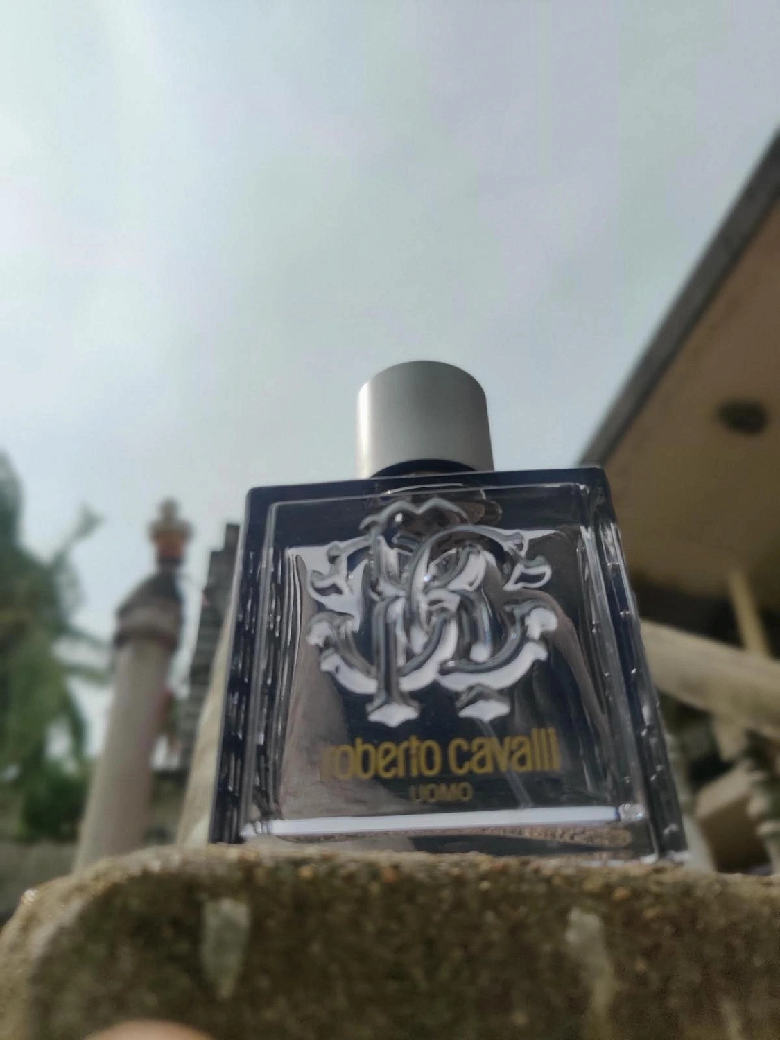 Roberto Cavalli Uomo Silver Essence