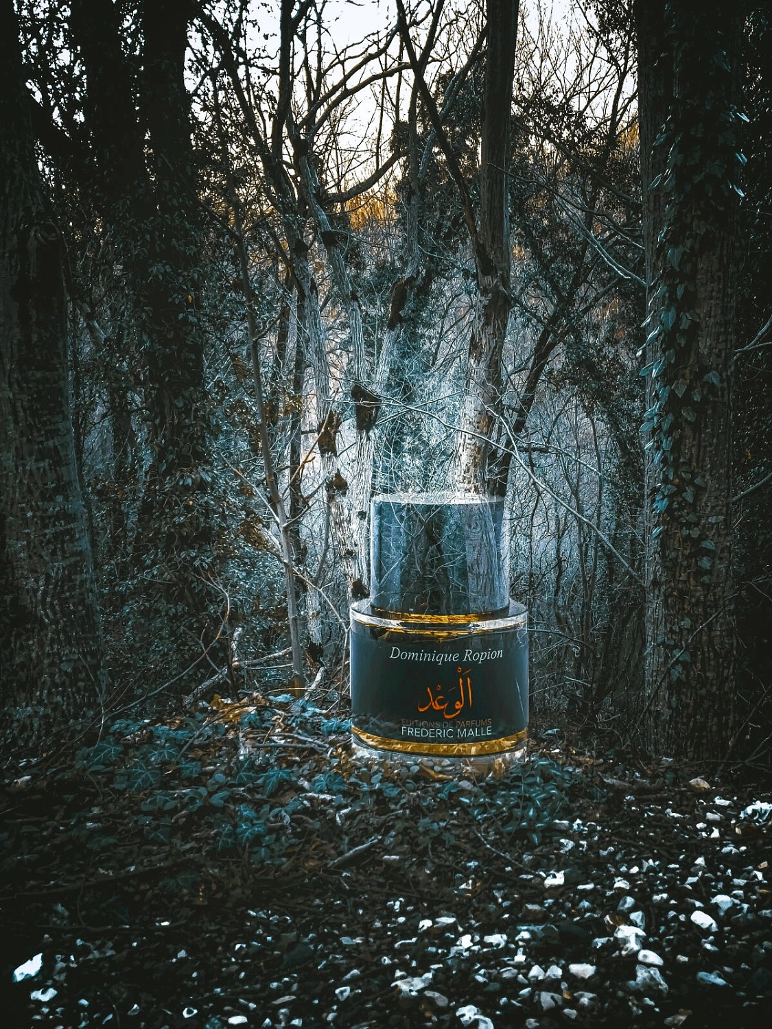 Frederic Malle Promise