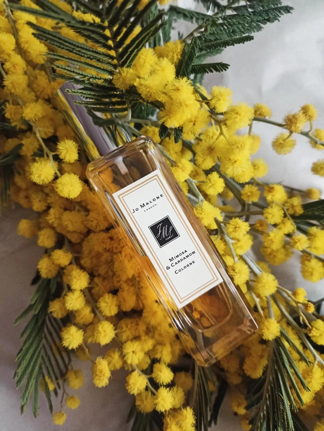 Jo Malone Mimosa & Cardamom