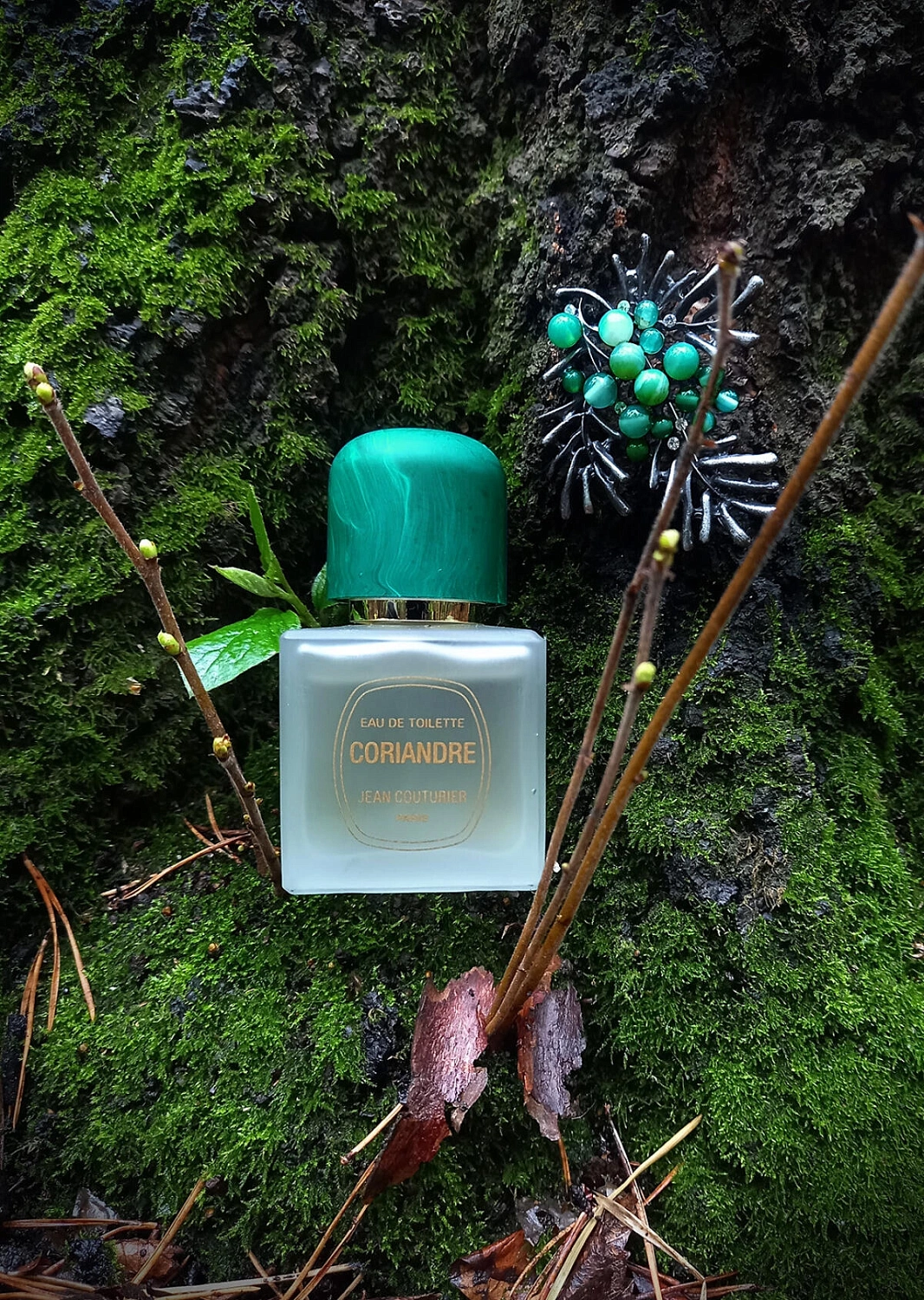 Jean Couturier Coriandre
