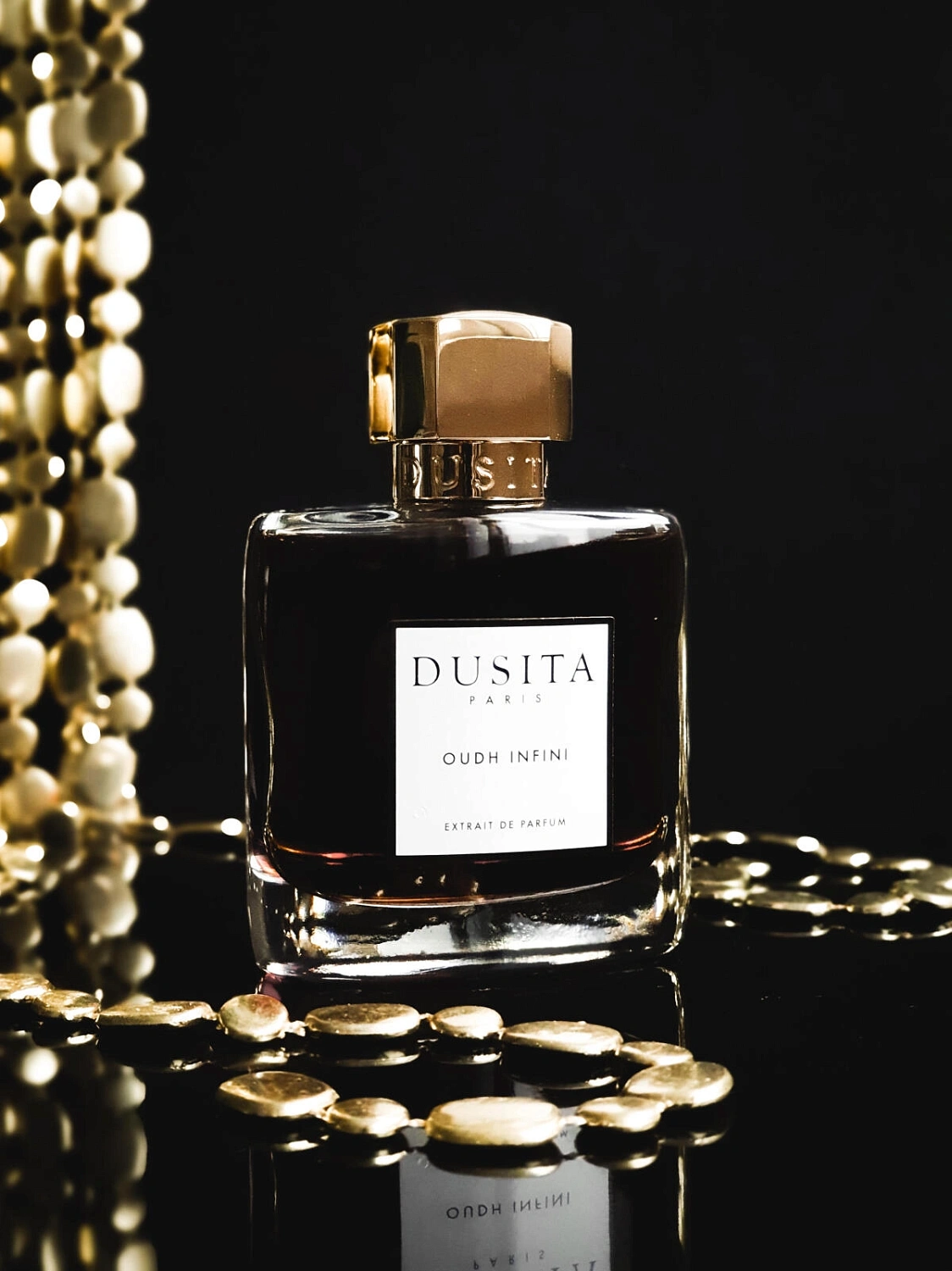 Dusita Oudh Infini