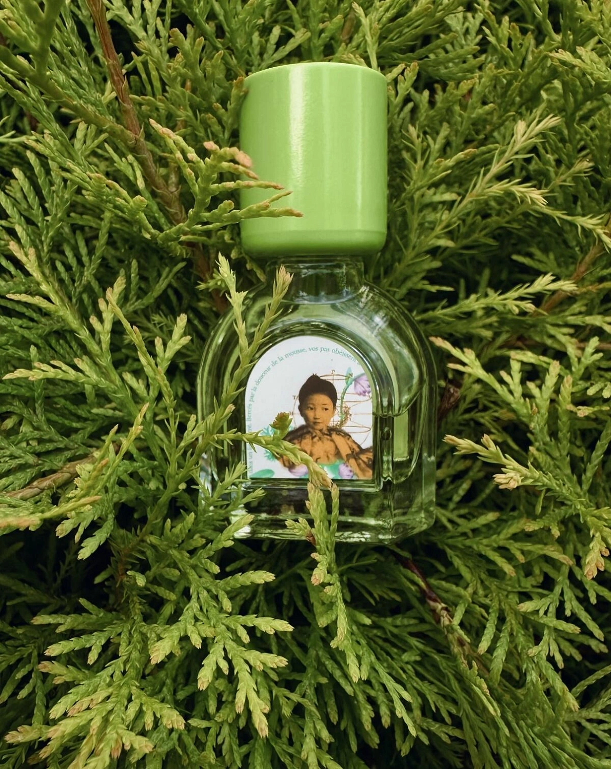 Le Jardin Retrouve Mousse Arashiyama