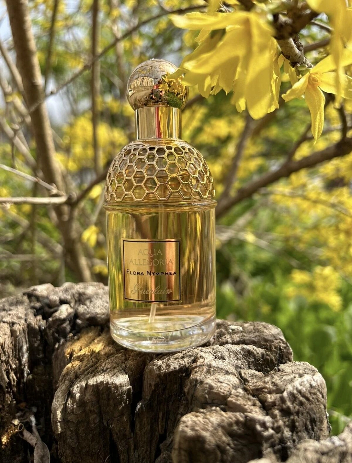 Guerlain Aqua Allegoria Flora Nymphea Guerlain Aqua Allegoria Flora Nymphea