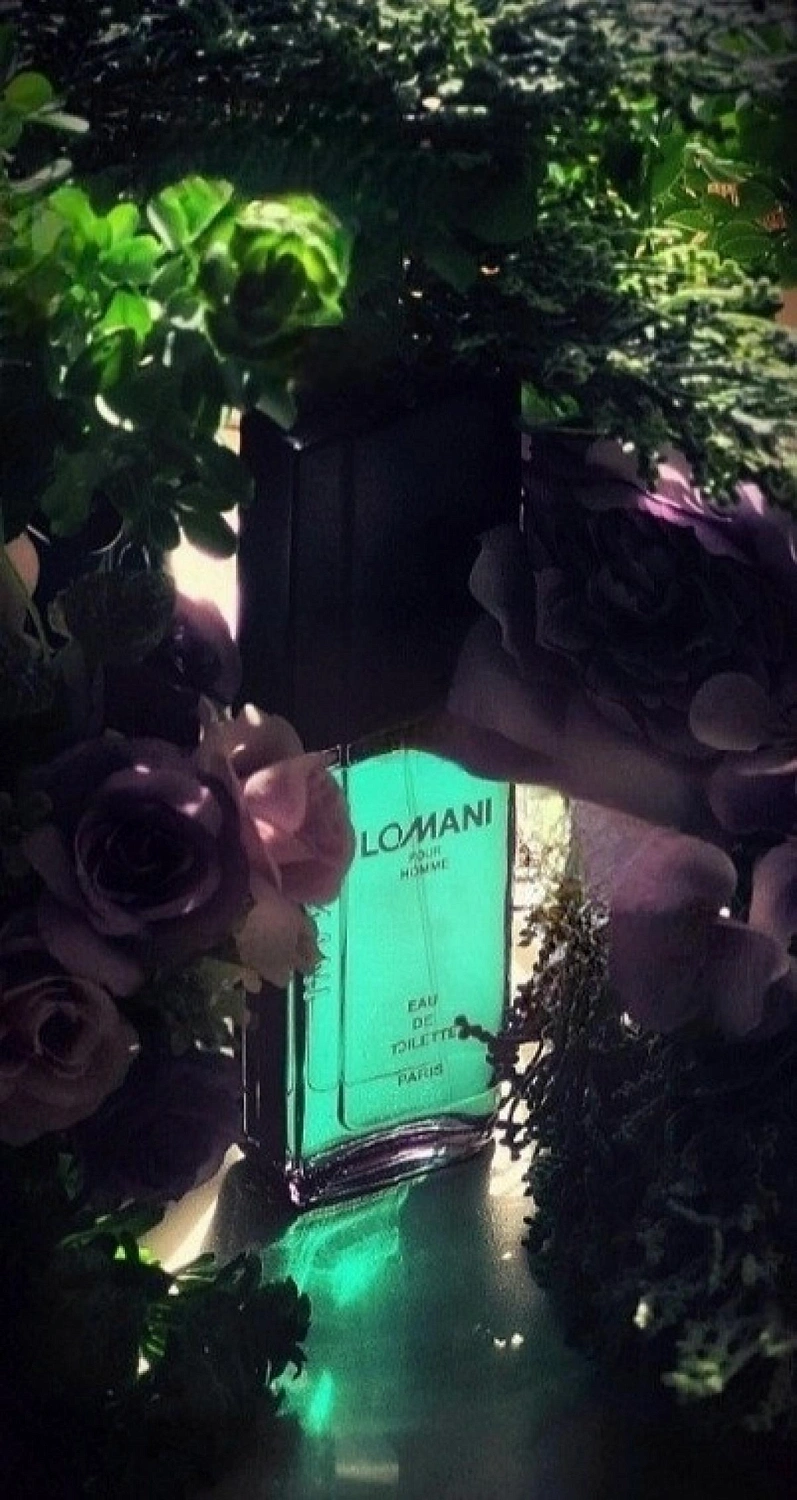 Lomani pour Homme Lomani pour Homme