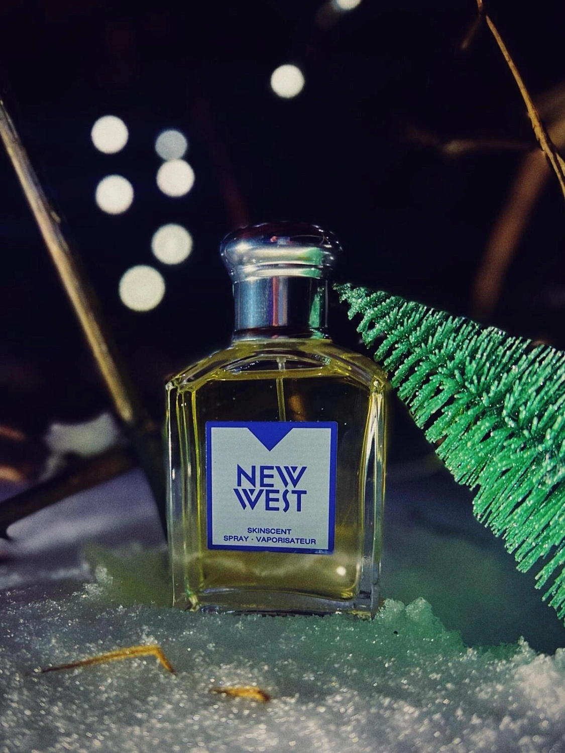 Aramis New West for Him