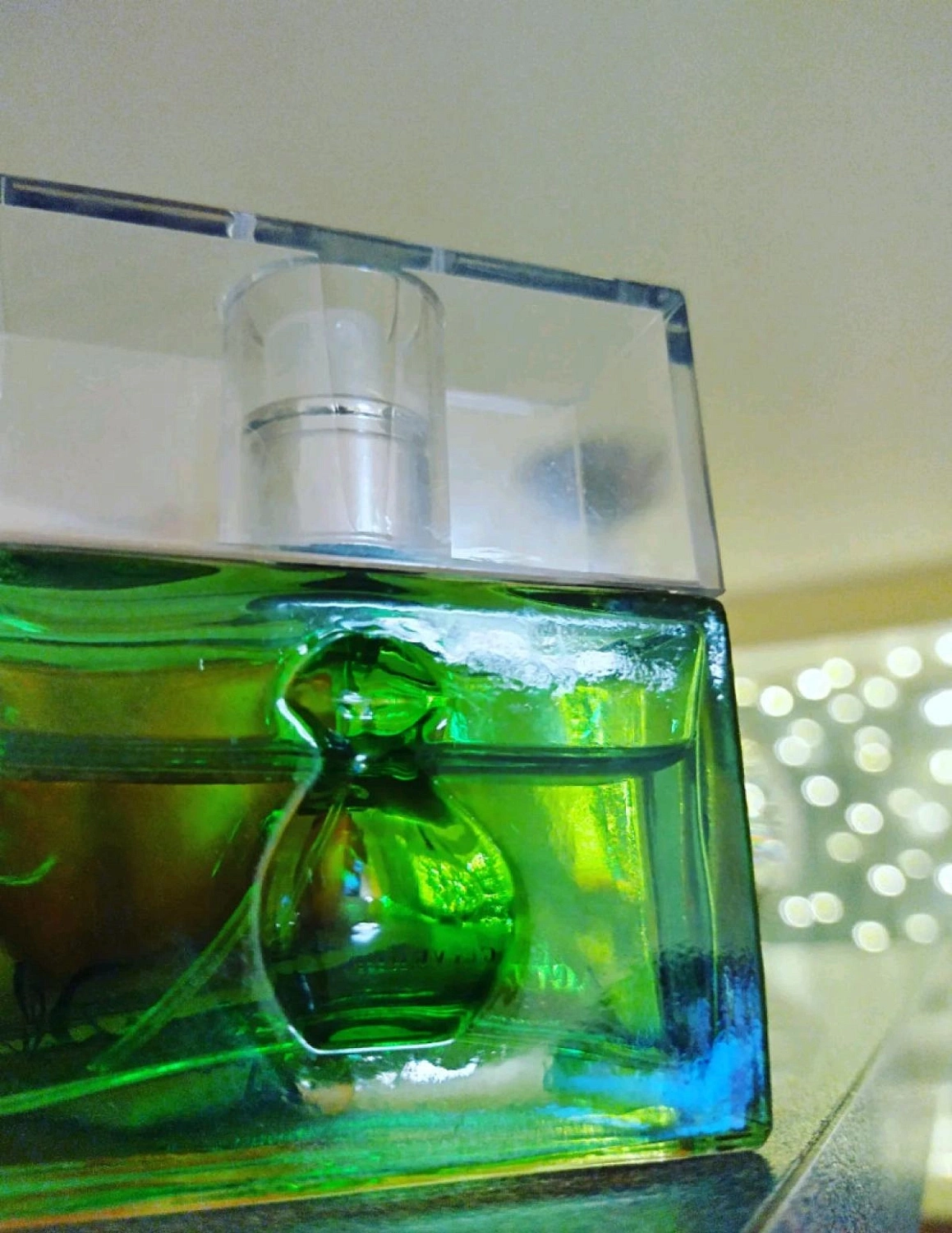 Salvador Dali Agua Verde