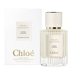 Chloé Atelier Des Fleurs Herba Mimosa