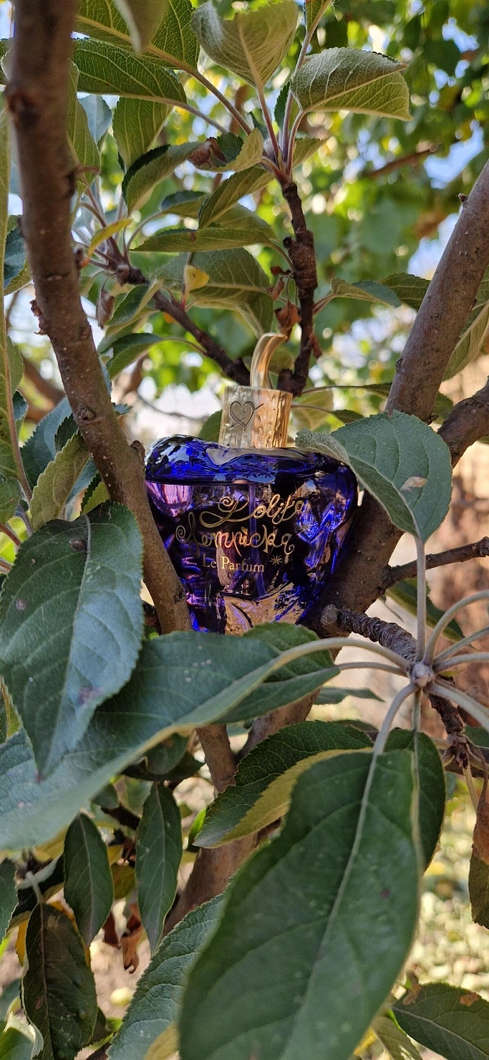 Lolita Lempicka Le Parfum Edition Limitee