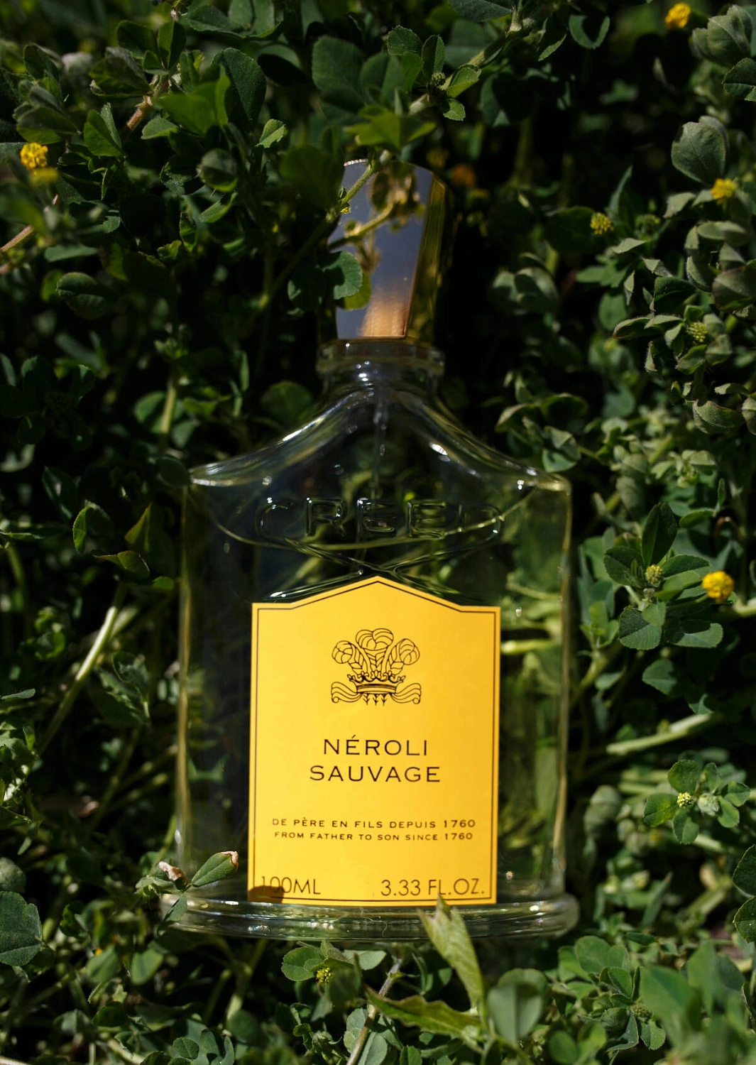 Creed Neroli Sauvage