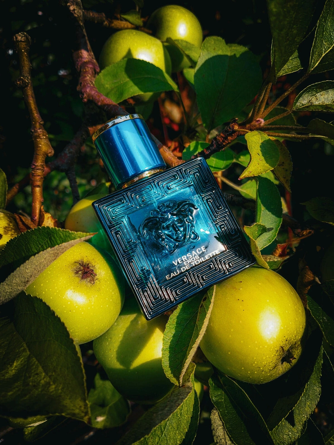 Versace Eros Versace Eros