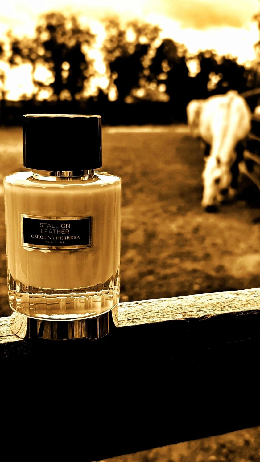 CAROLINA HERRERA Stallion Leather