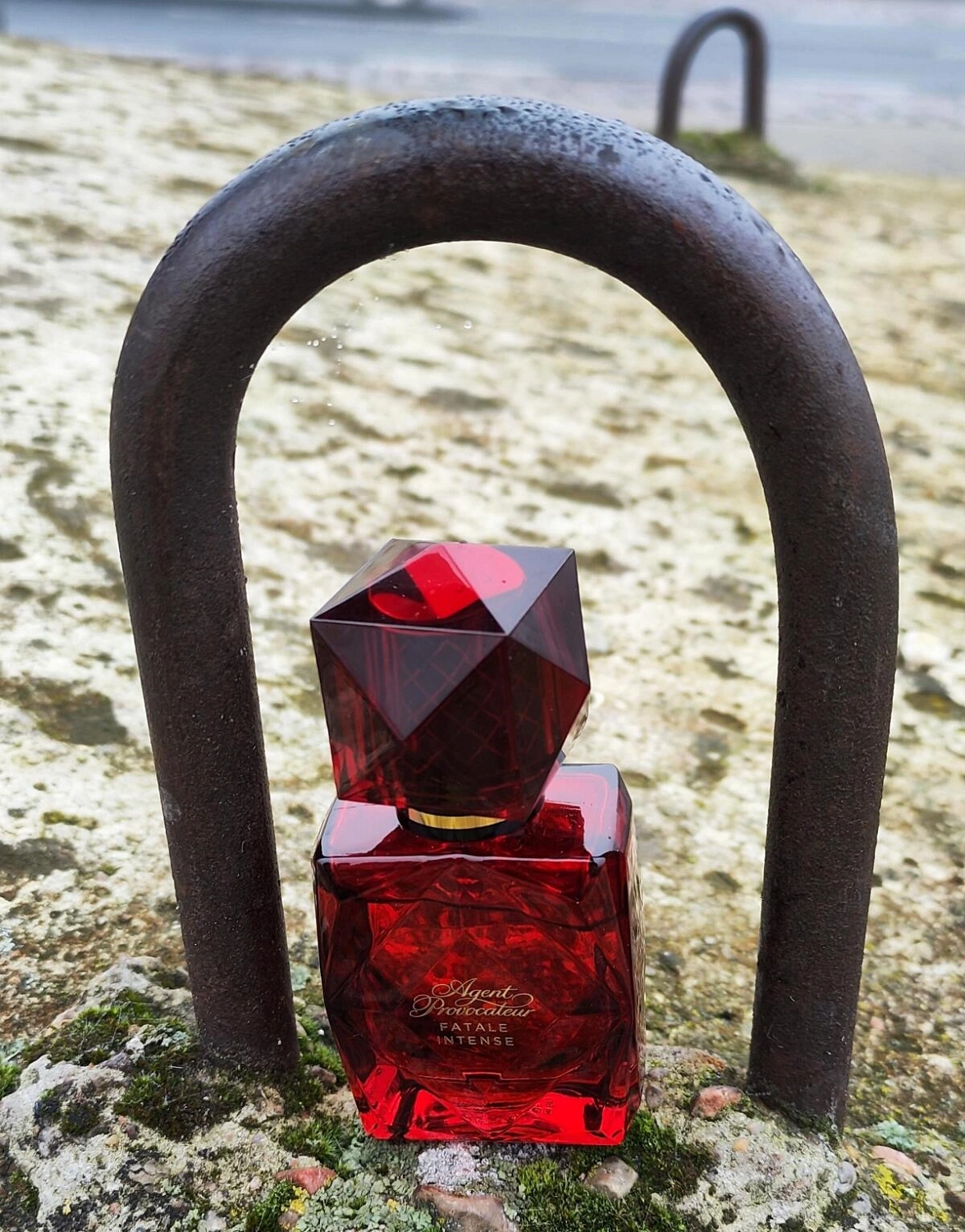 Agent Provocateur Fatale Intense