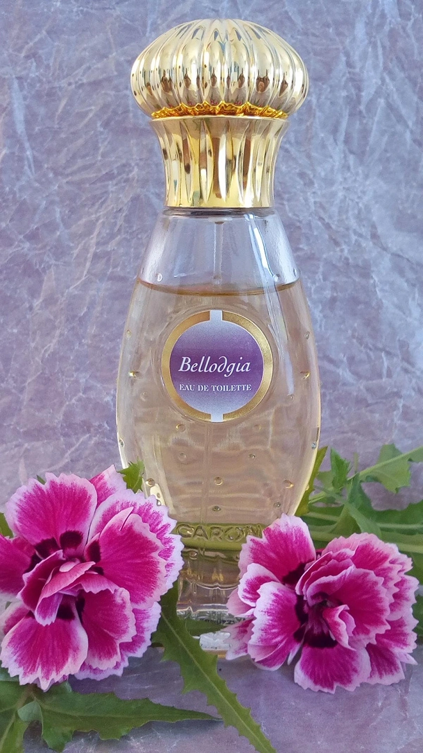 Caron Bellodgia Caron Bellodgia