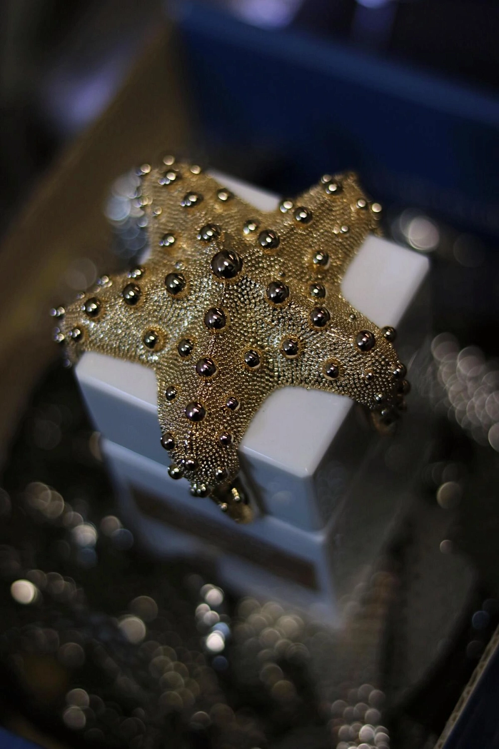 Tiziana Terenzi Atlantide