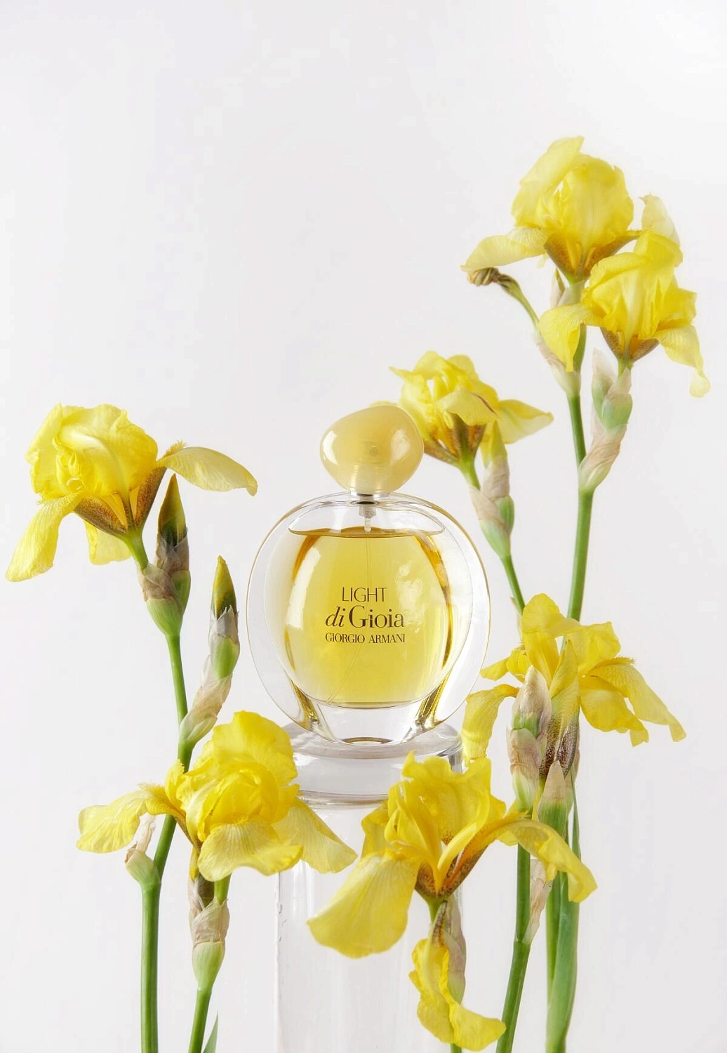 ARMANI Light di Gioia