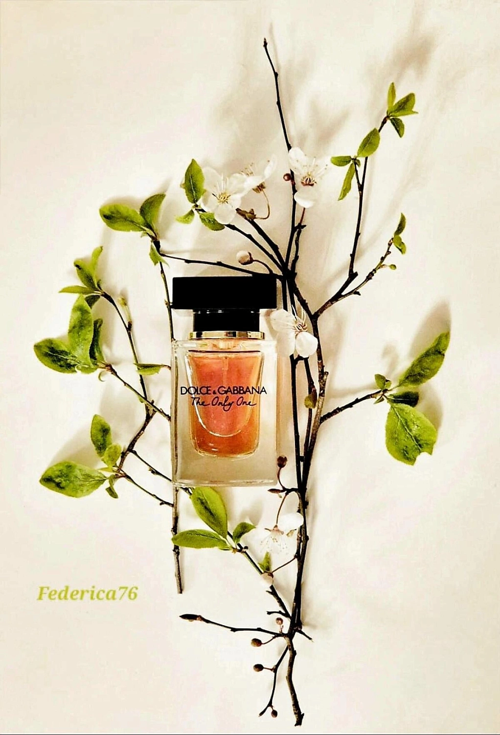 DOLCE & GABBANA The Only One