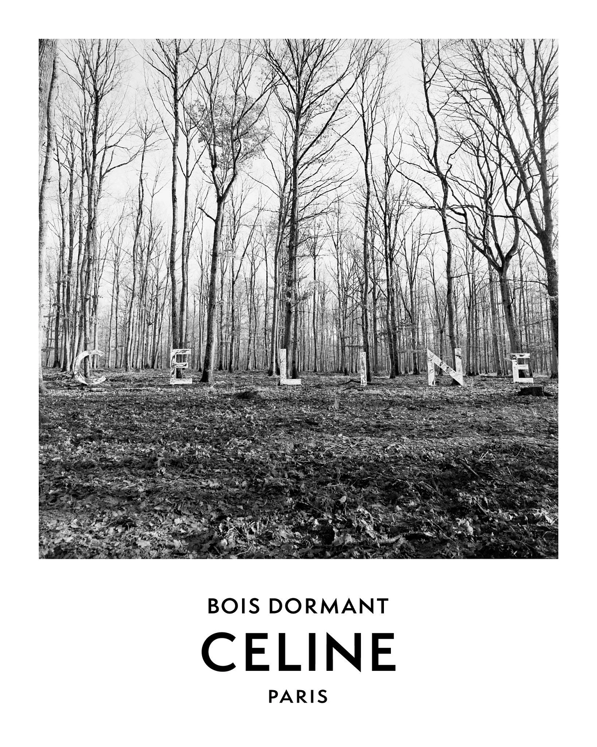 Celine Bois Dormant