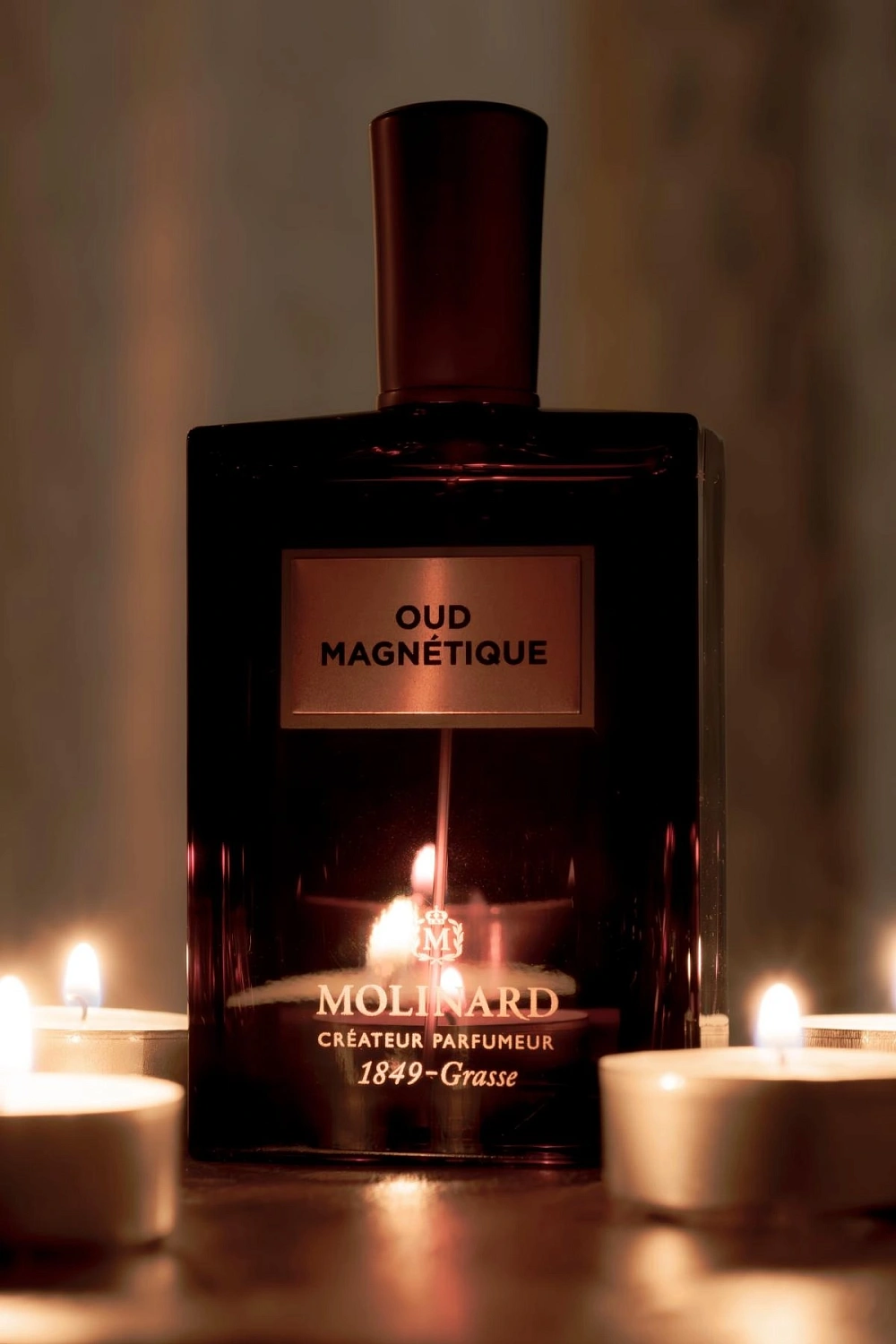 Molinard Oud Magnetique