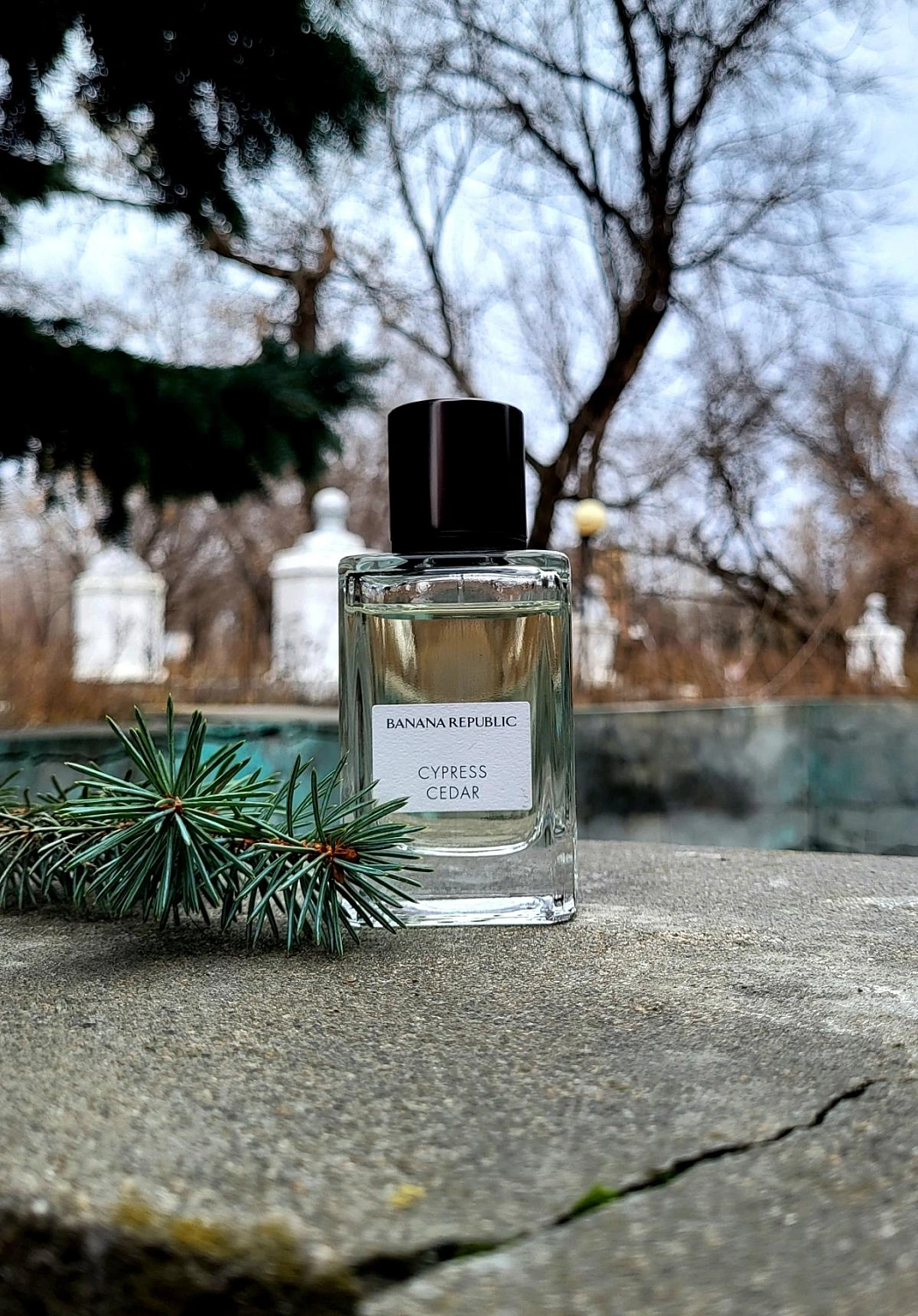 Banana Republic Cypress Cedar