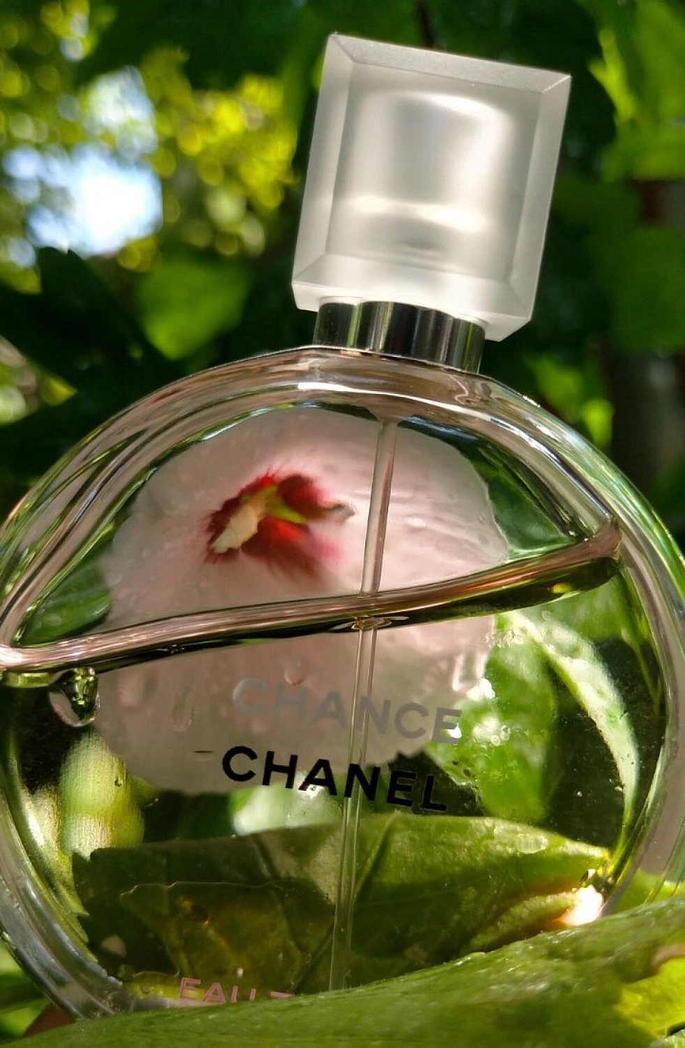 Chanel Chance Eau Tendre