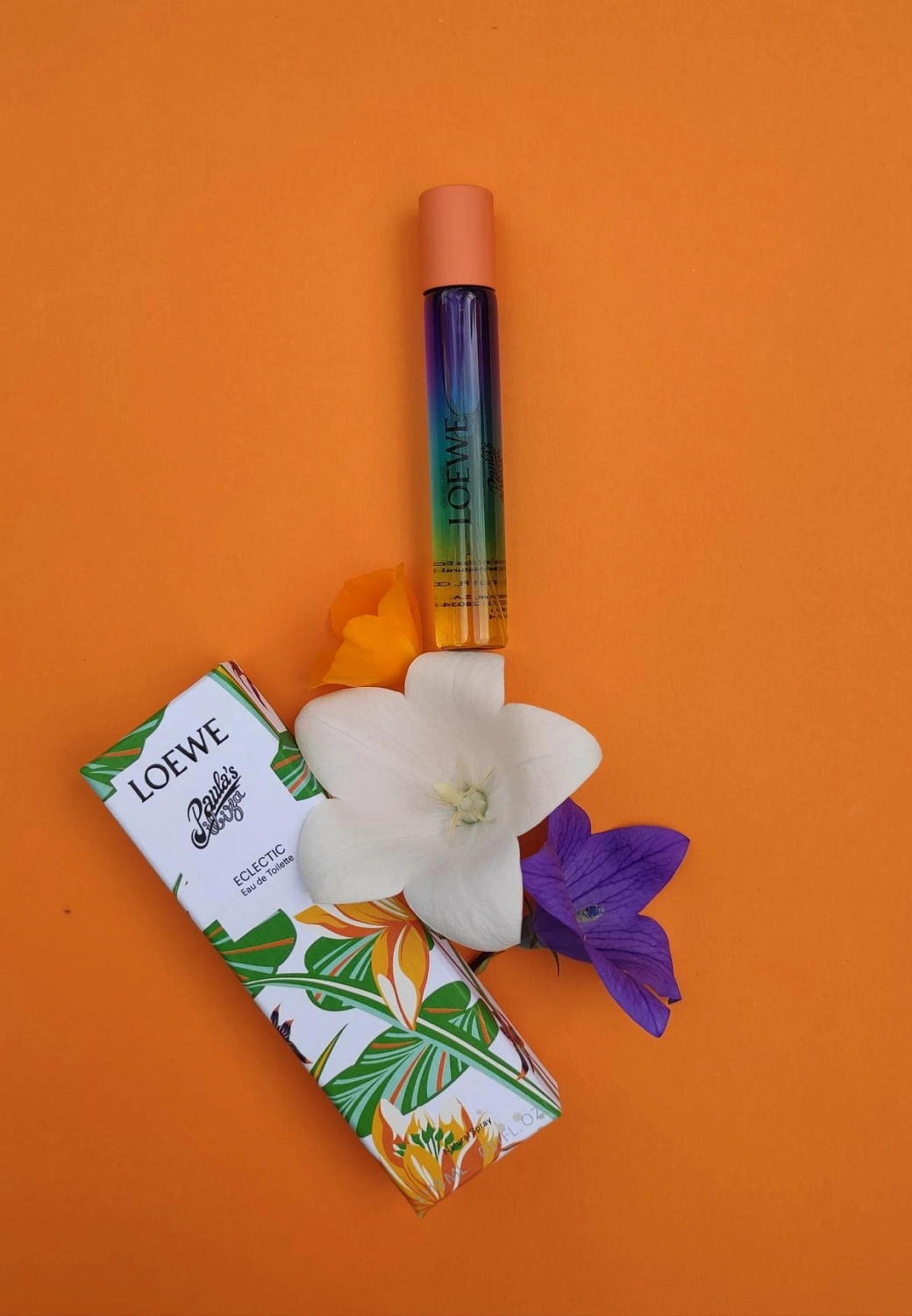 Loewe Paula's Ibiza Eclectic