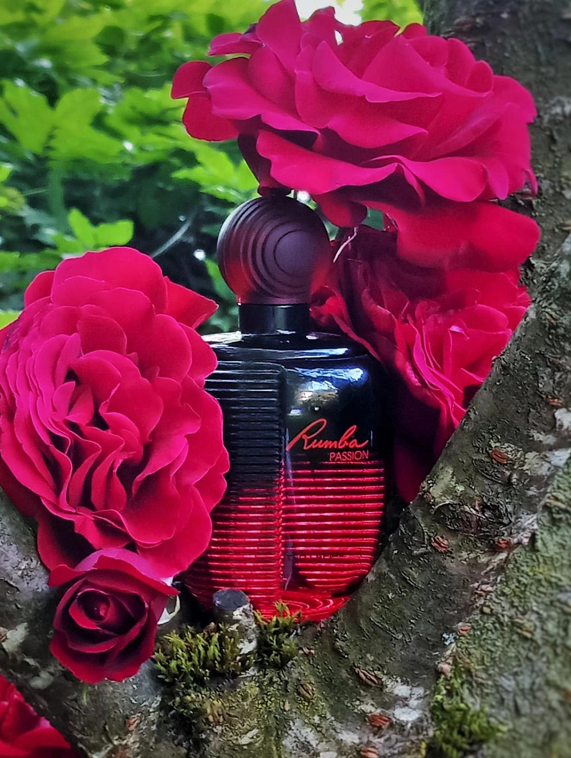 Ted Lapidus Rumba Passion