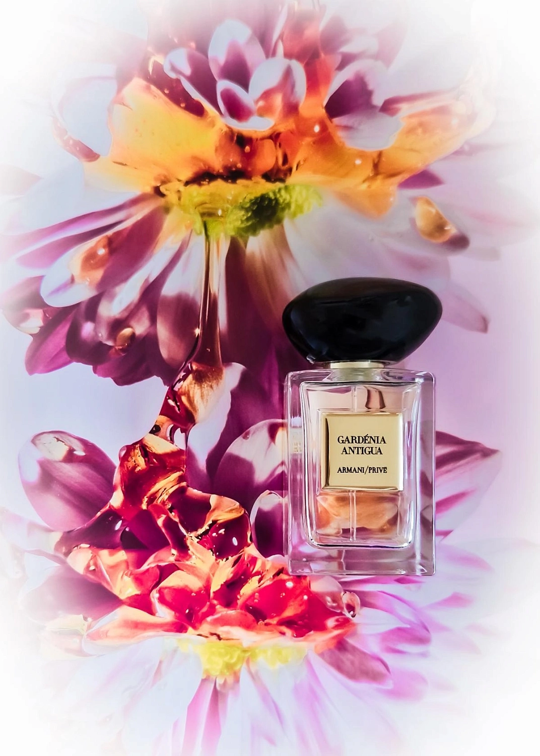 ARMANI Prive Gardenia Antigua ARMANI Prive Gardenia Antigua