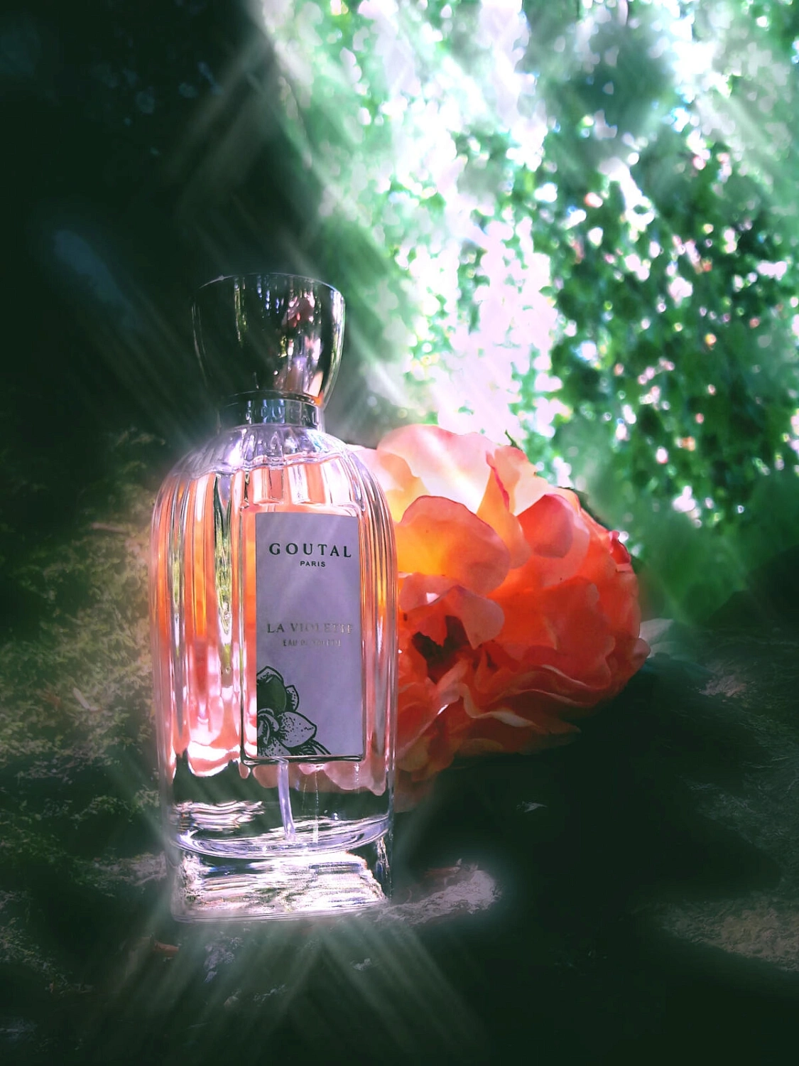 Annick Goutal La Violette