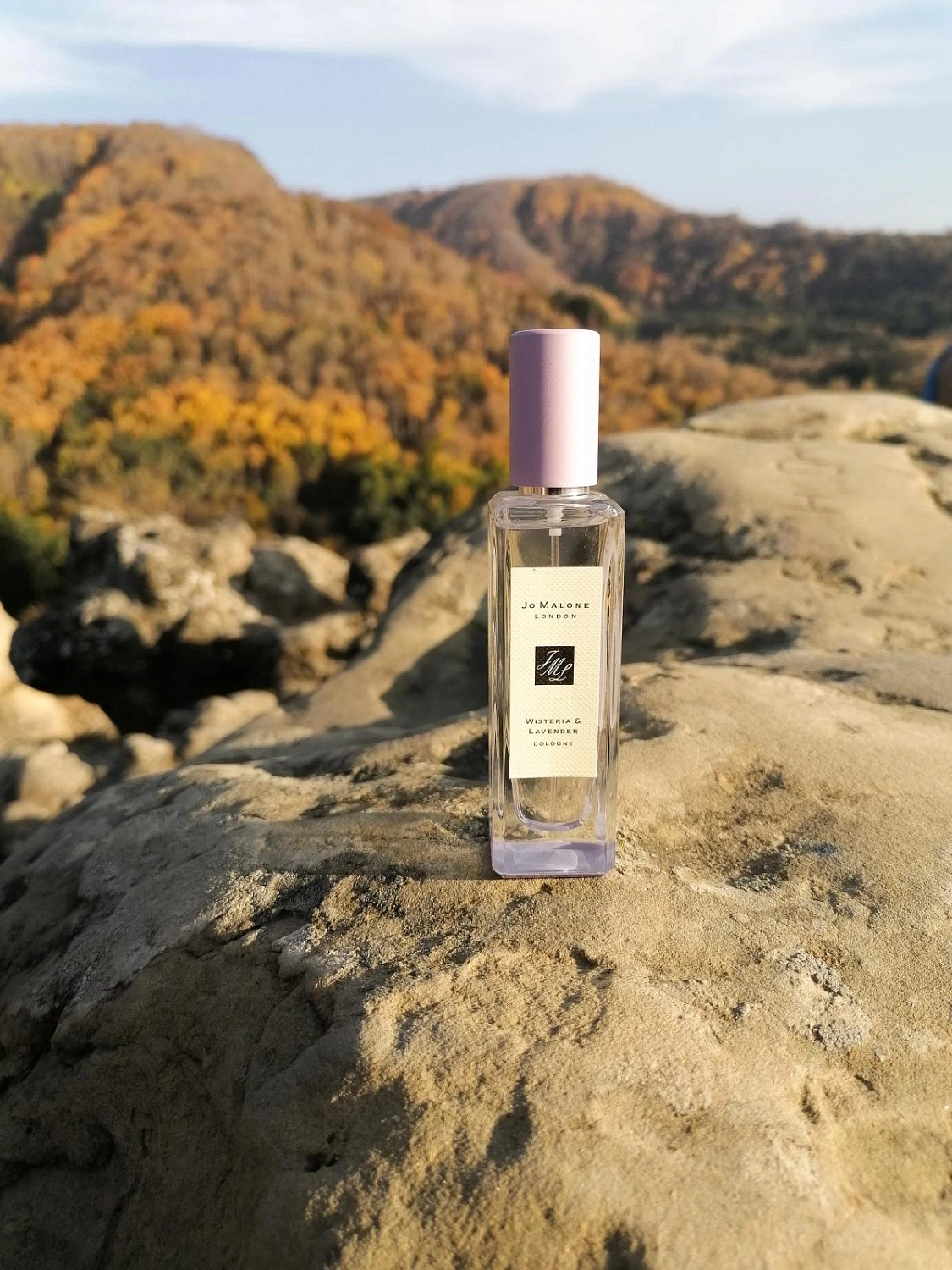 Jo Malone Wisteria & Lavender (Lavenderland Collection) Jo Malone Wisteria & Lavender (Lavenderland Collection)