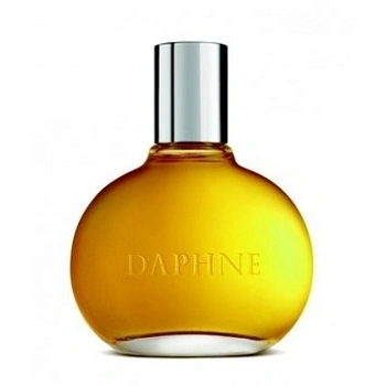 Фото Comme des Garcons Daphne