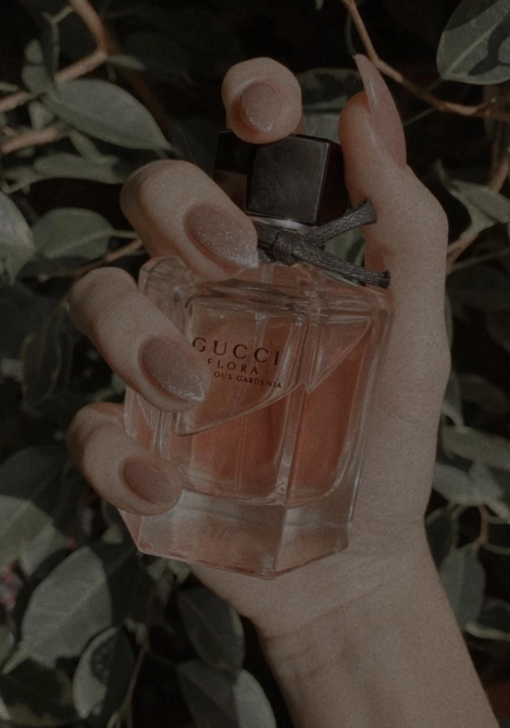 GUCCI Flora Gorgeous Gardenia Limited Edition GUCCI Flora Gorgeous Gardenia Limited Edition