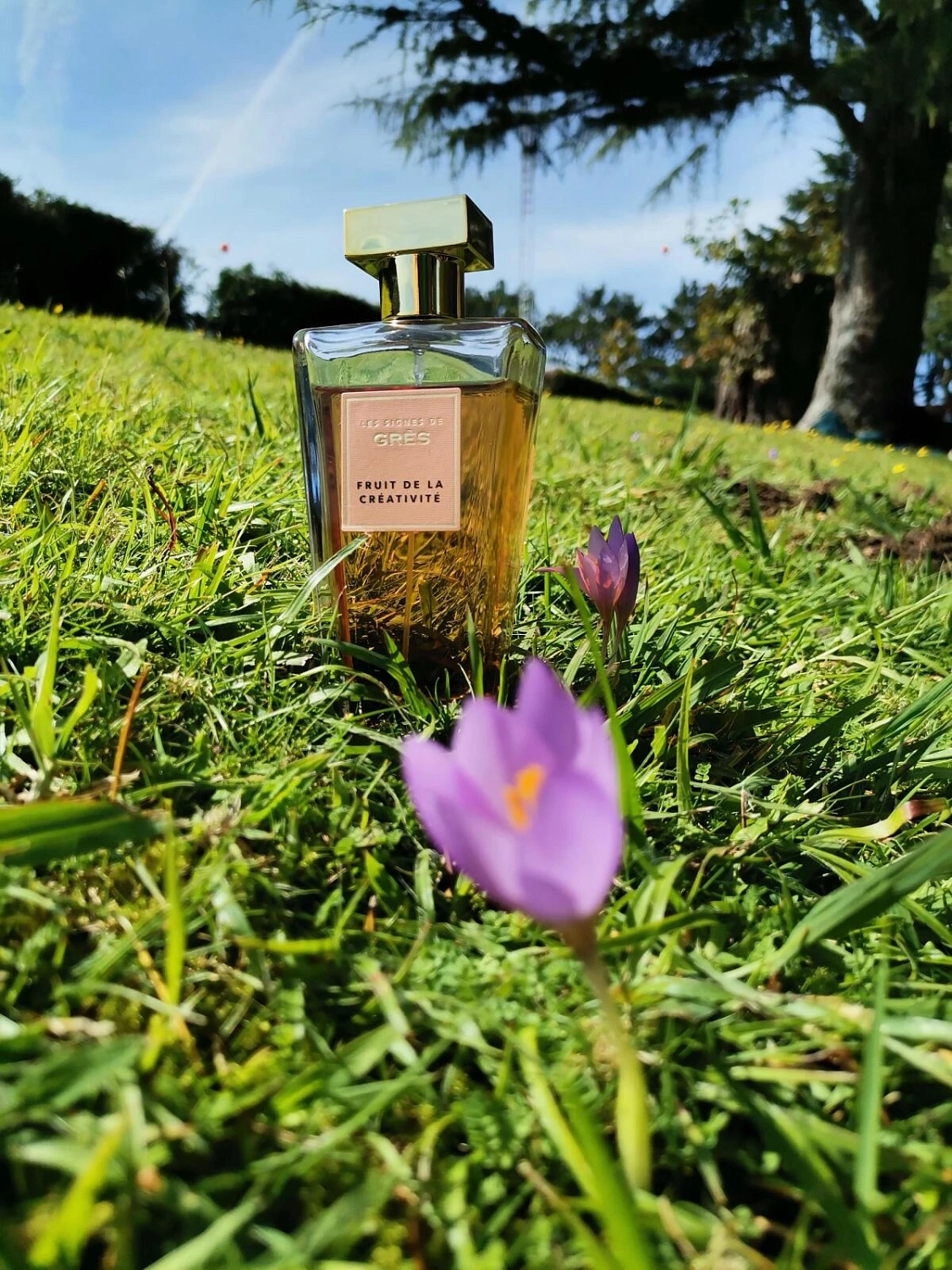 Gres Fruit de La Creativite