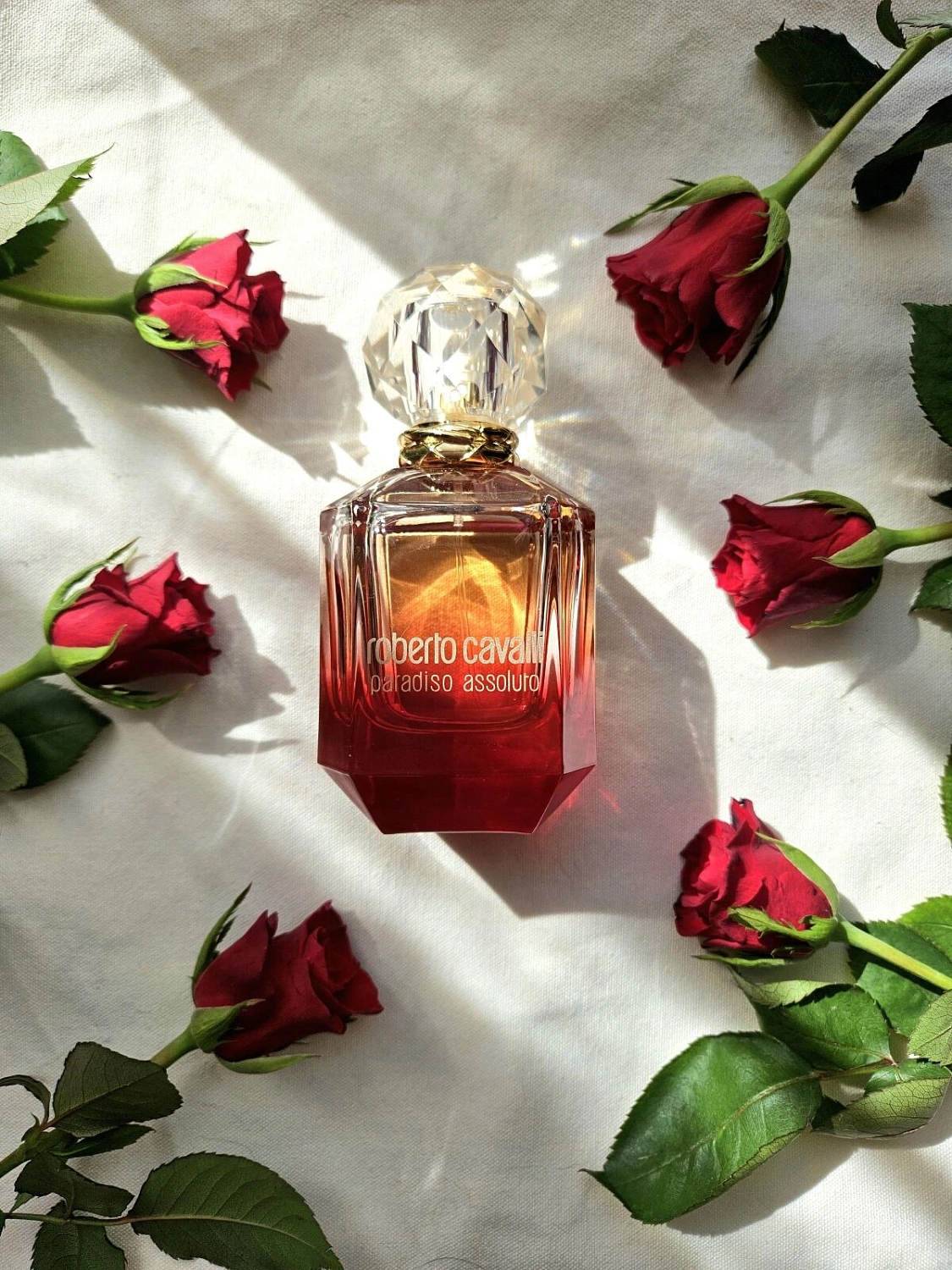 Roberto Cavalli Paradiso Assoluto