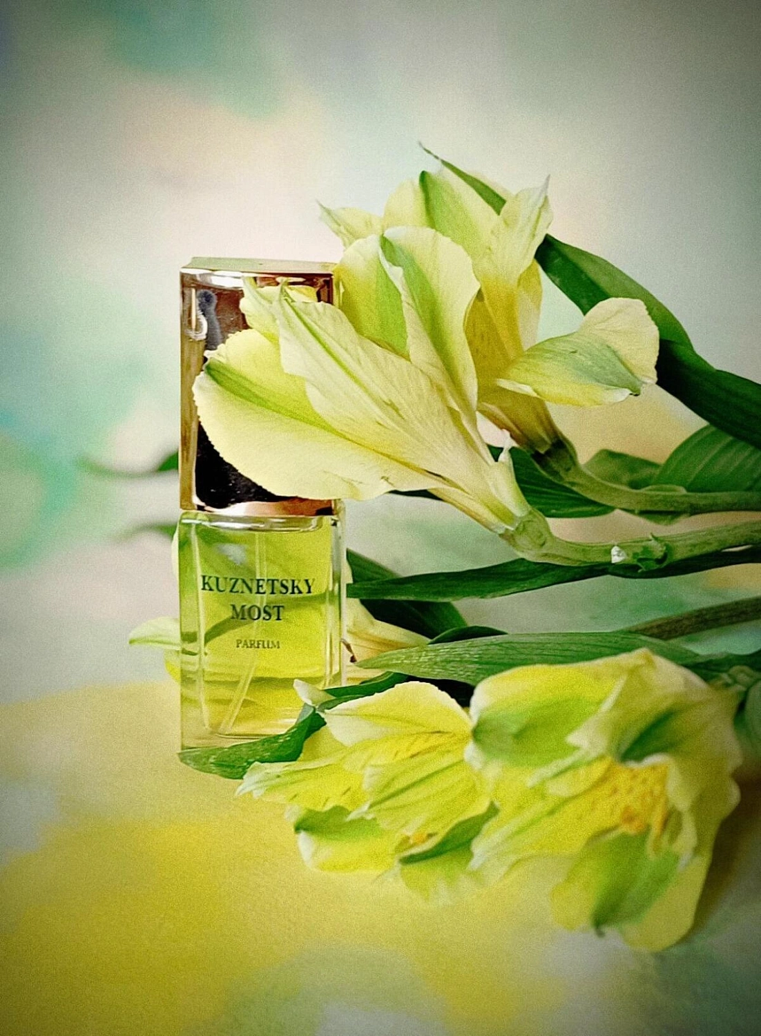 Novaya Zarya (Новая Заря) Кузнецкий Мост для женщин