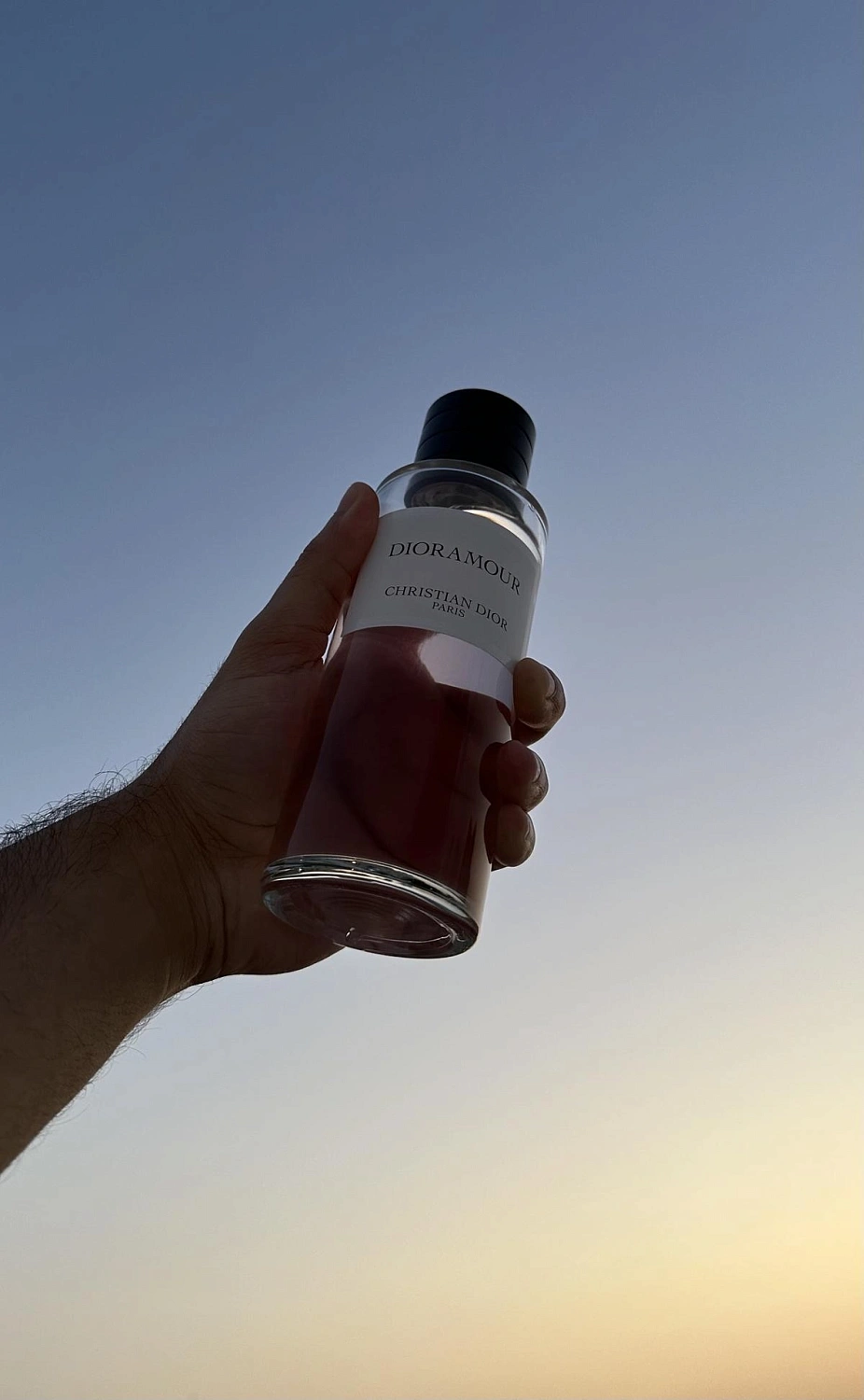 Christian Dior Dioramour