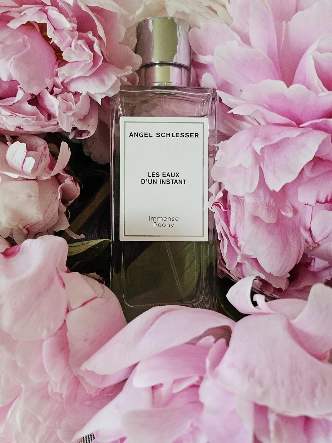 Angel Schlesser Immense Peony