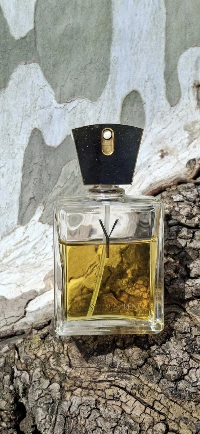 Yves Saint Laurent Y 1964