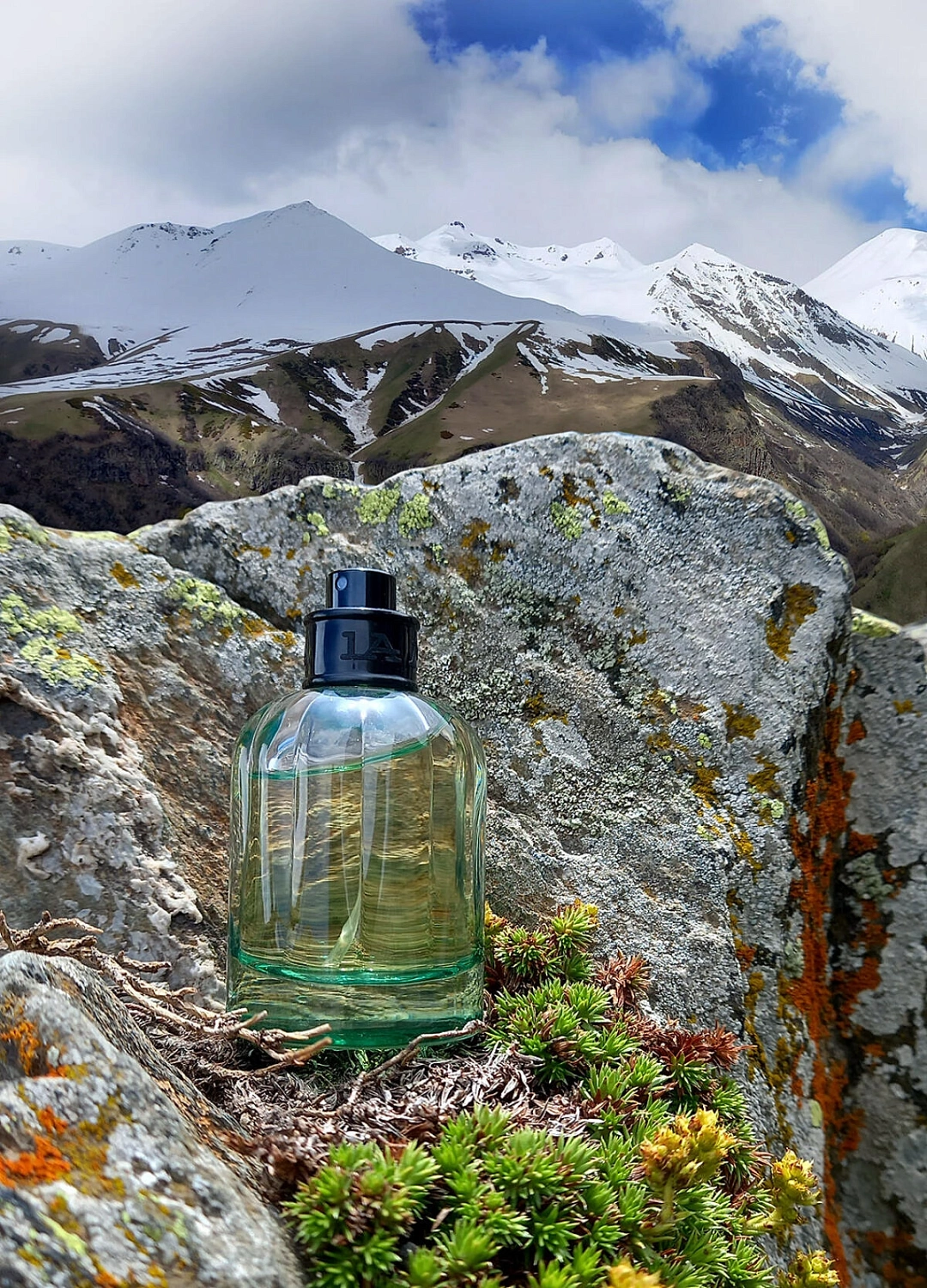 La Martina Colonias Intensas N.01 - Alpha Woods