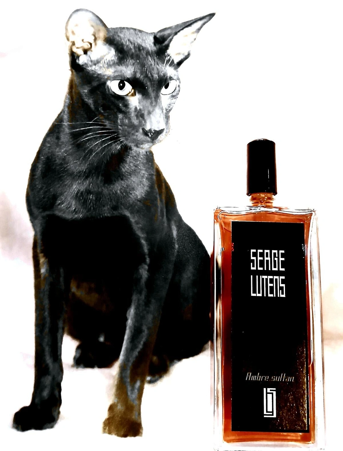 Serge Lutens Ambre Sultan