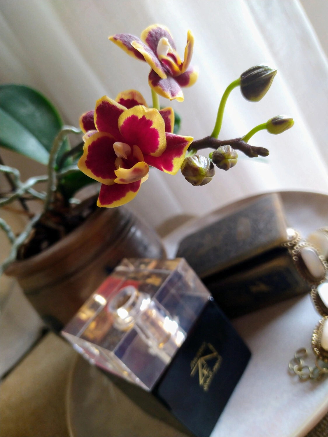 Shiseido Zen Gold Elixir 2018