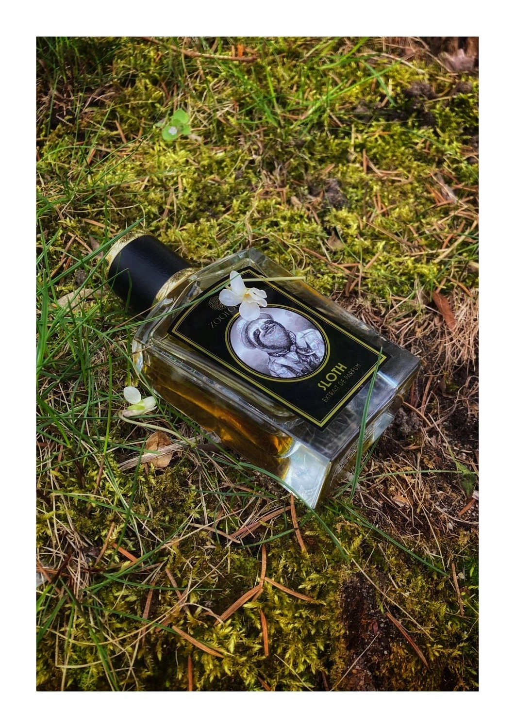 Zoologist Perfumes Sloth