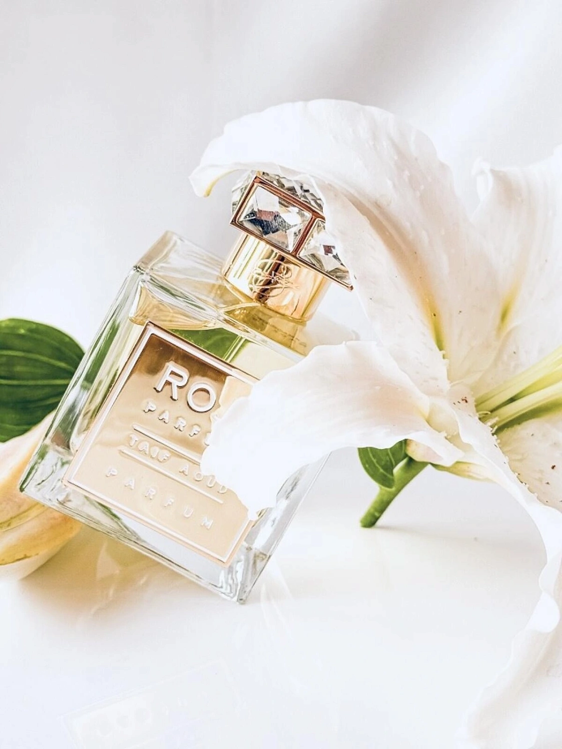 Roja Parfums Taif Aoud