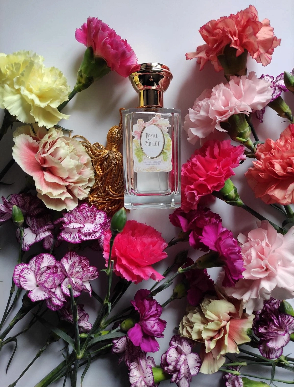 Oriza L. Legrand Royal Oeillet