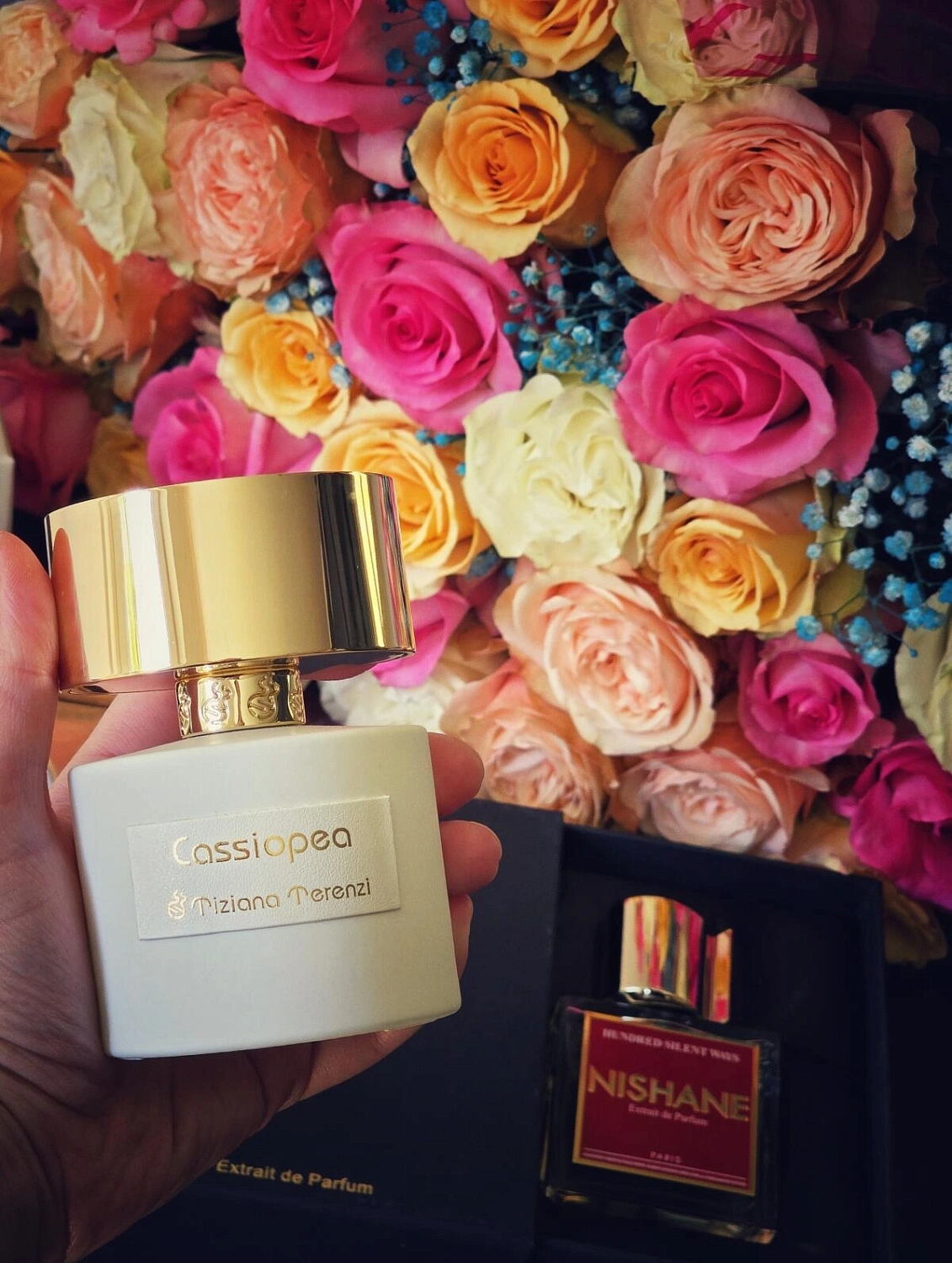 Tiziana Terenzi Cassiopea