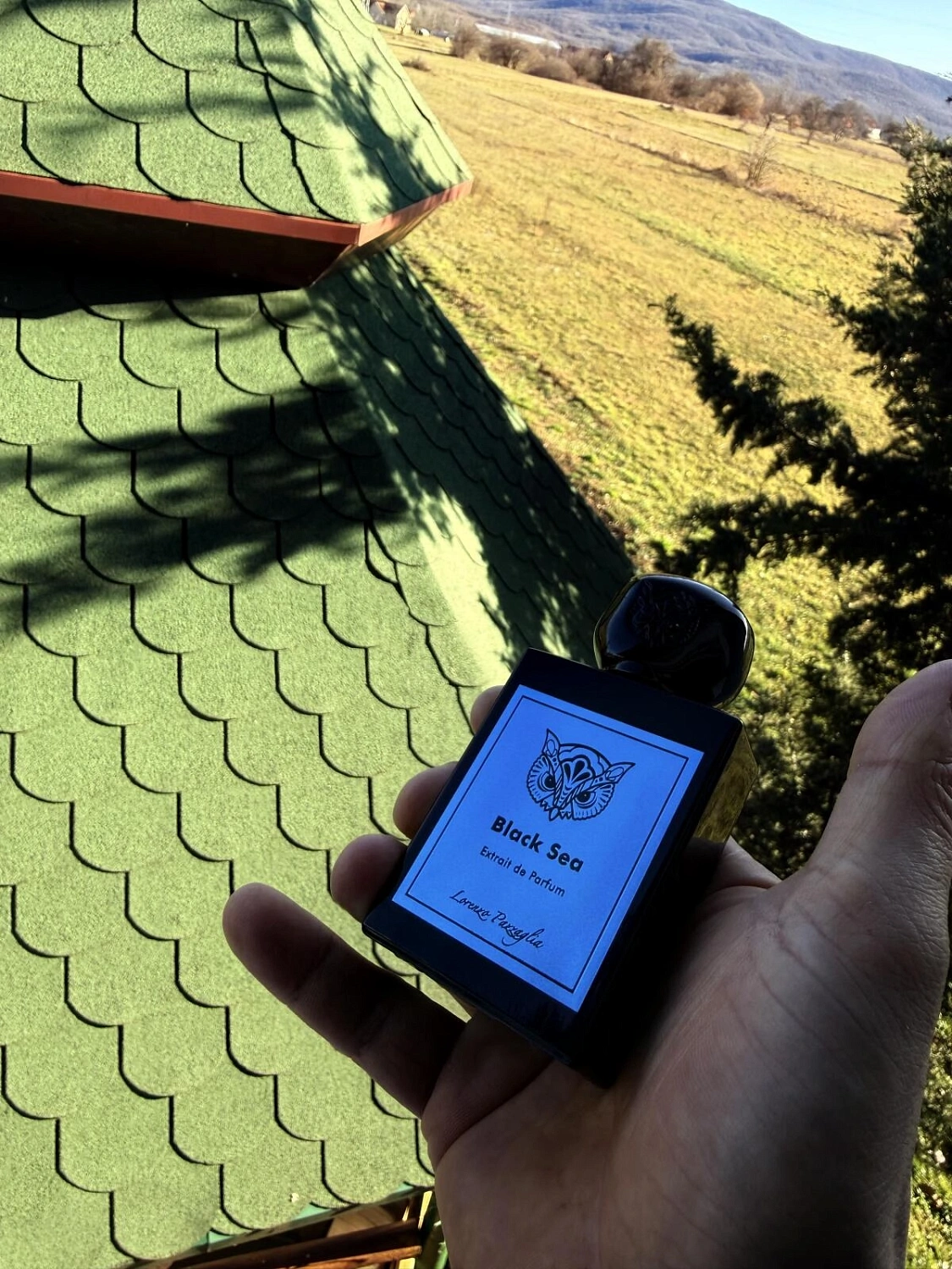 Lorenzo Pazzaglia Black Sea