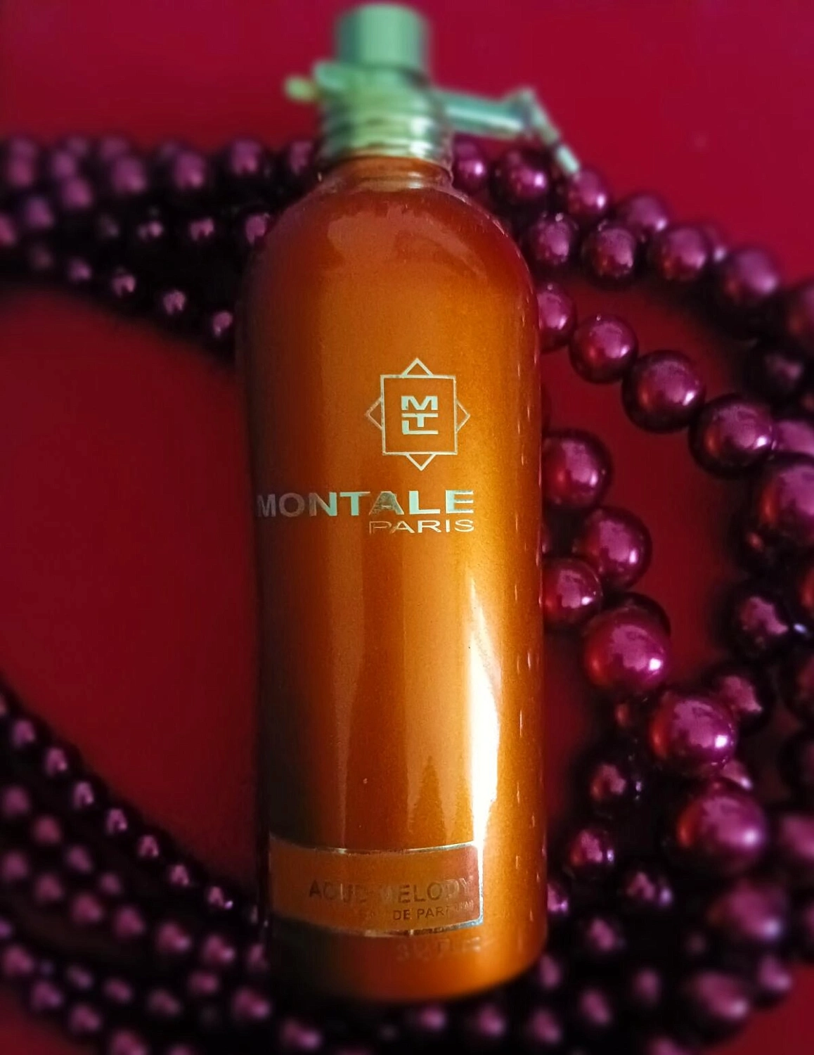 MONTALE Aoud Melody
