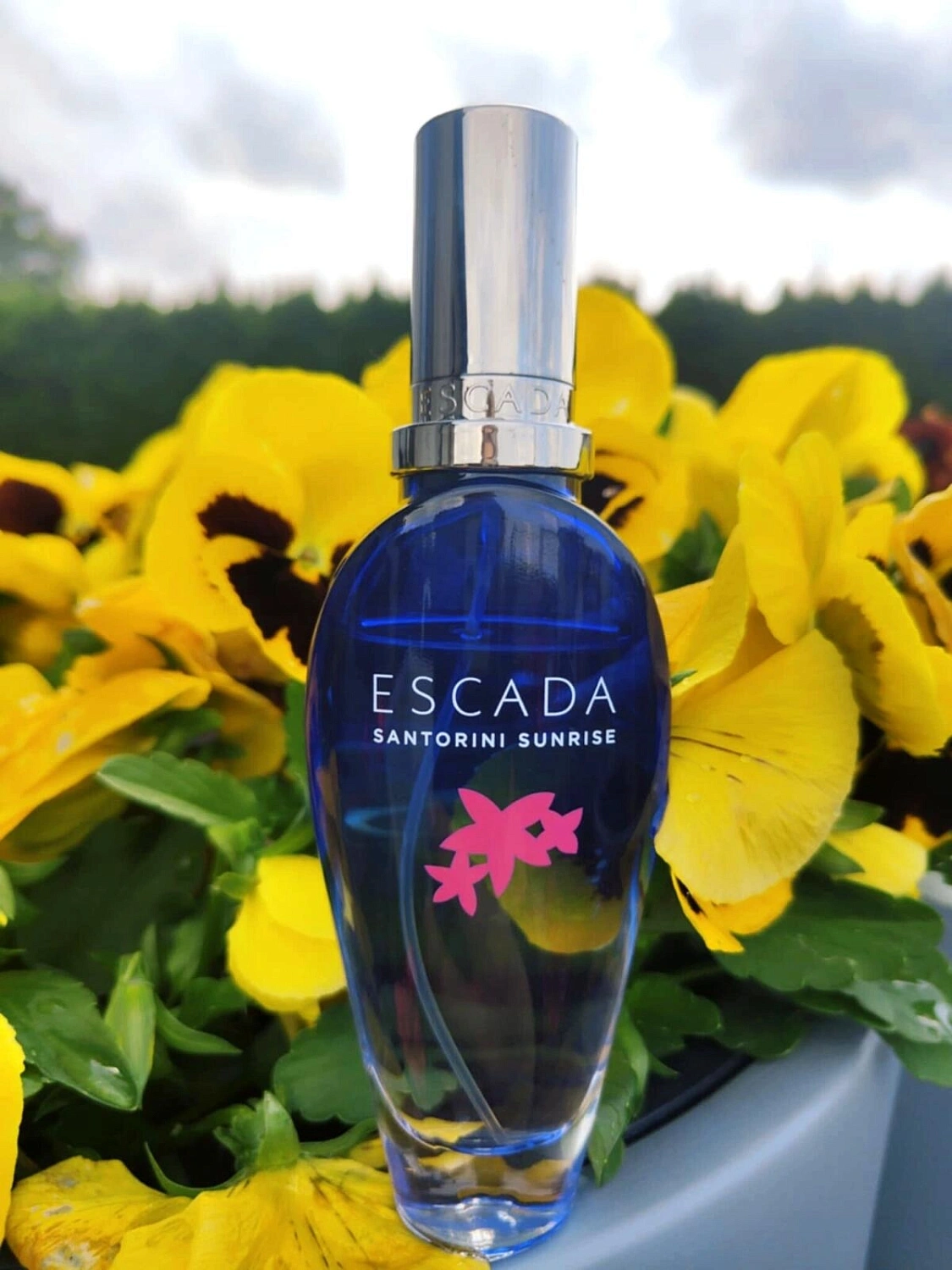 Escada Santorini Sunrise