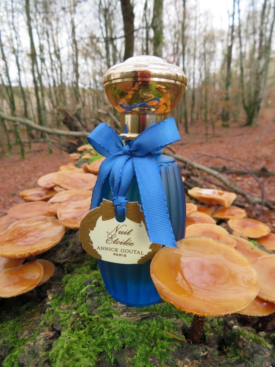 Annick Goutal Nuit Etoilee